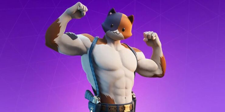 Muscular Meowscles